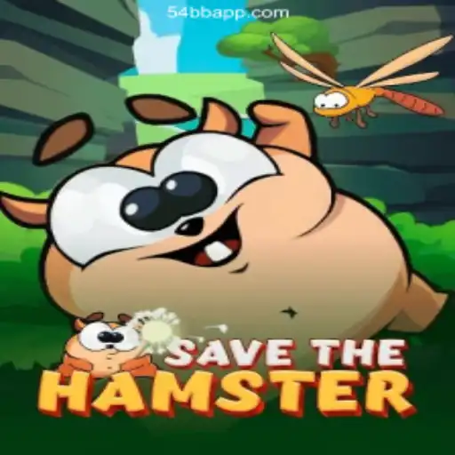 Discover the Adrenaline of 'SavetheHamster' and the Excitement of 54BB.COM: A Plataforma de Apostas #1 do Brasil